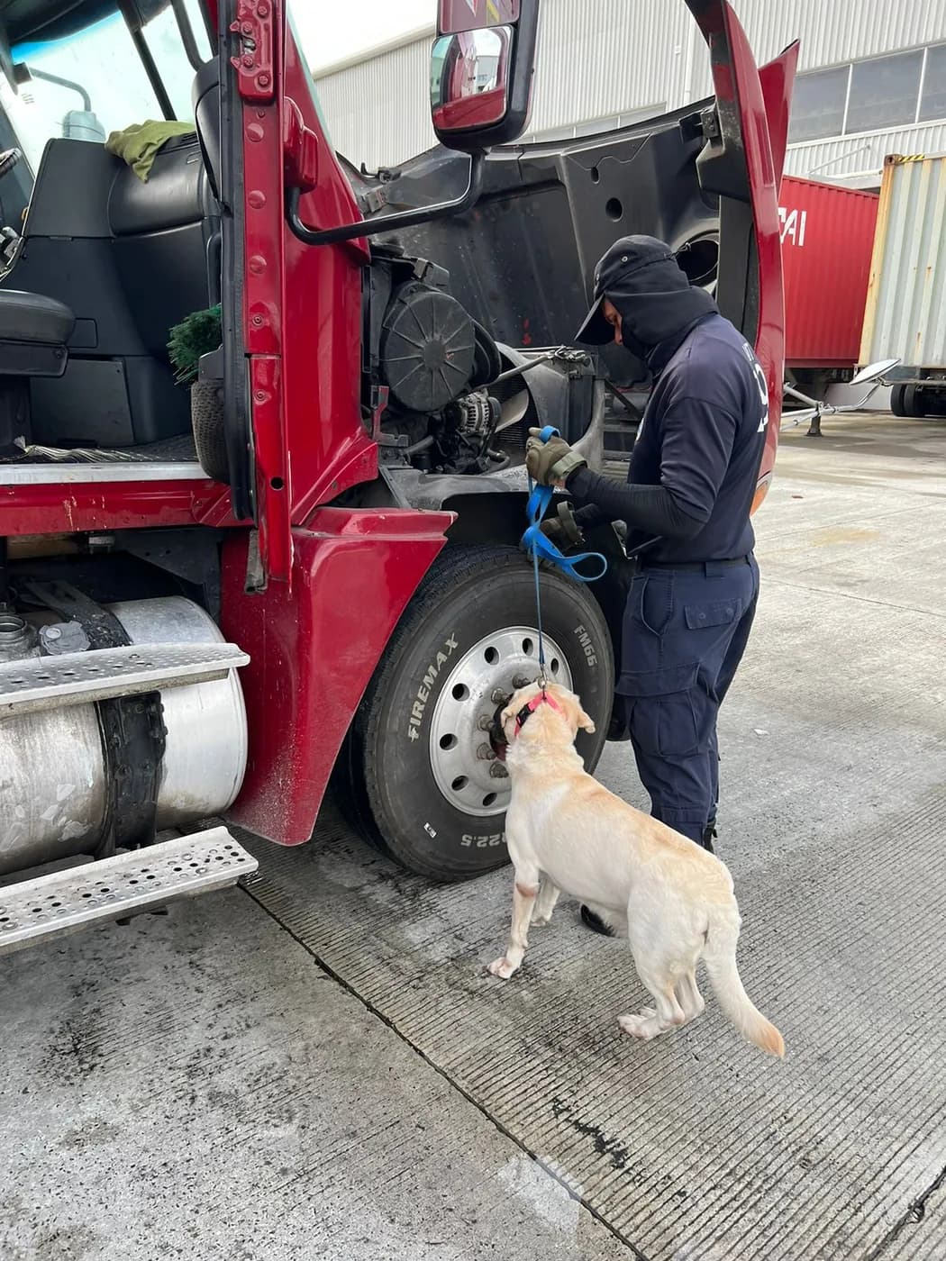 Inspección de contenedores, furgones y camiones