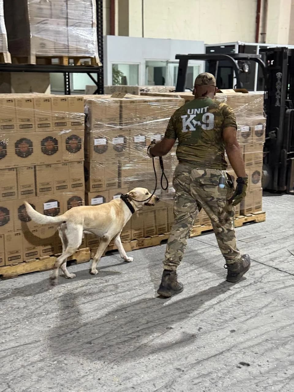 Unidad K9 inspeccionando carga en bodega